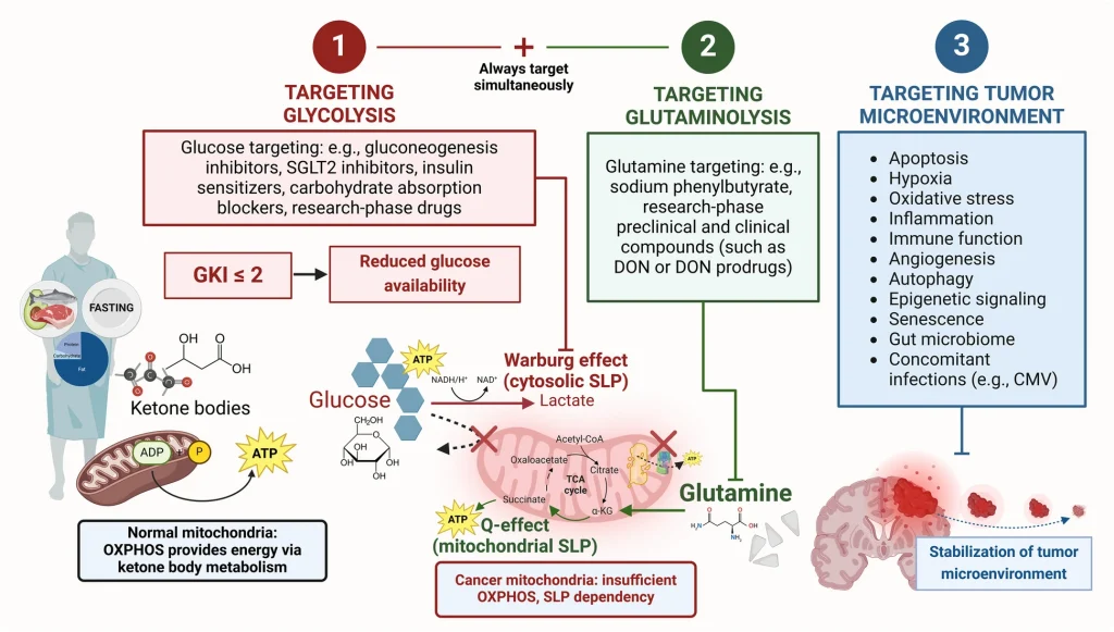 Overview of Potential Drug Treatments as Part of KMT Research